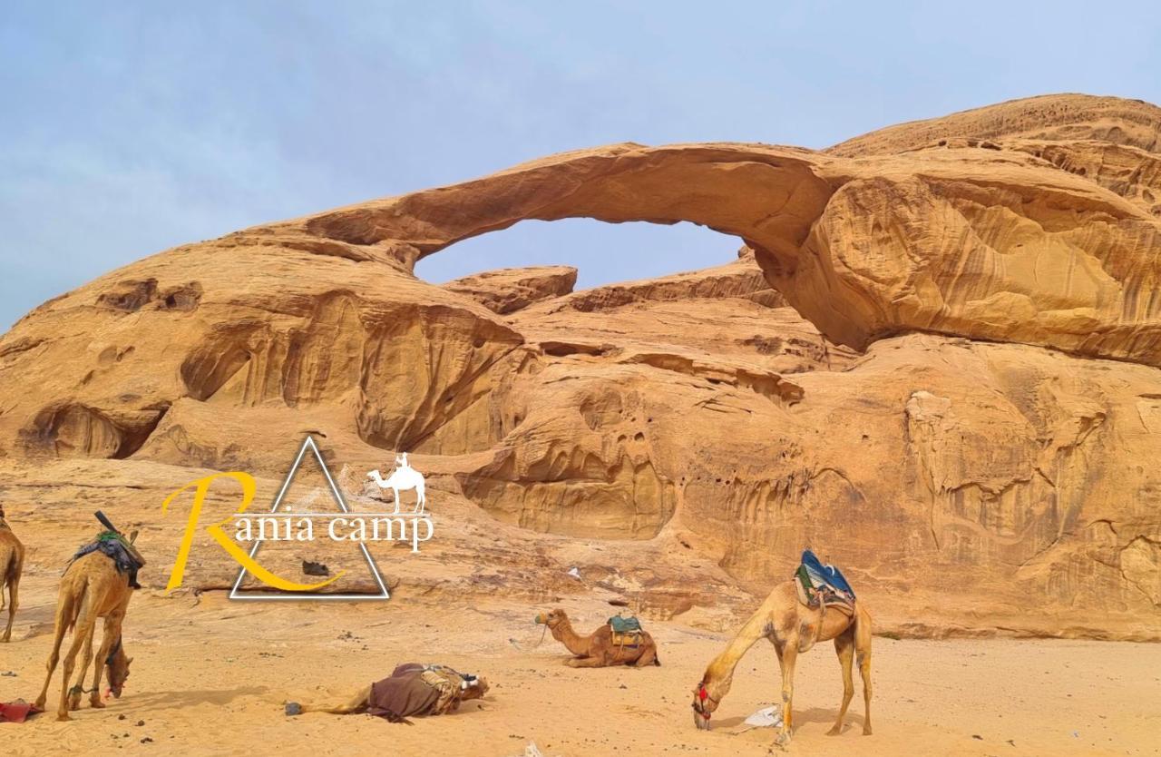 Wadi Rum,Rania Camp Exteriör bild