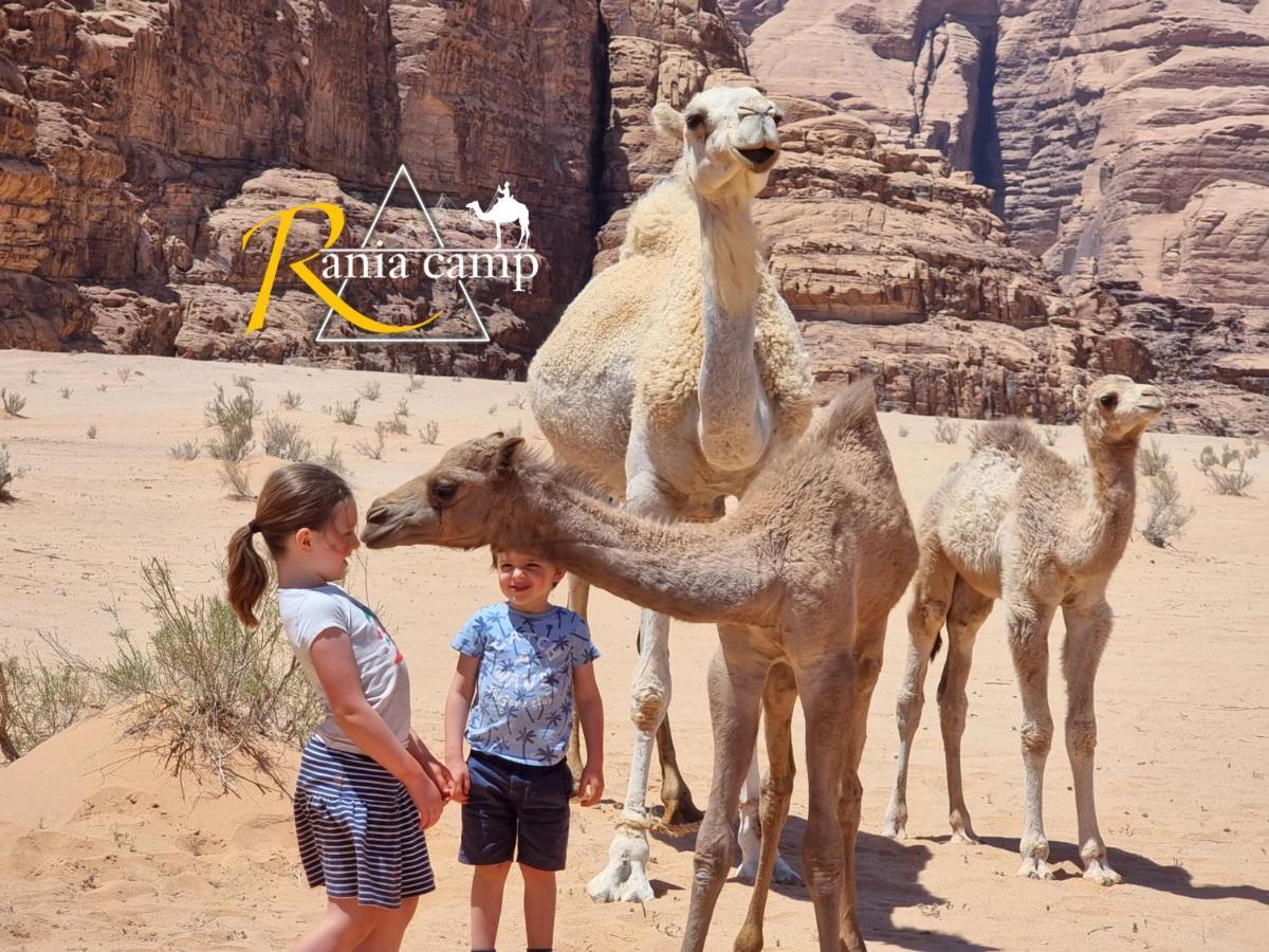 Wadi Rum,Rania Camp Exteriör bild