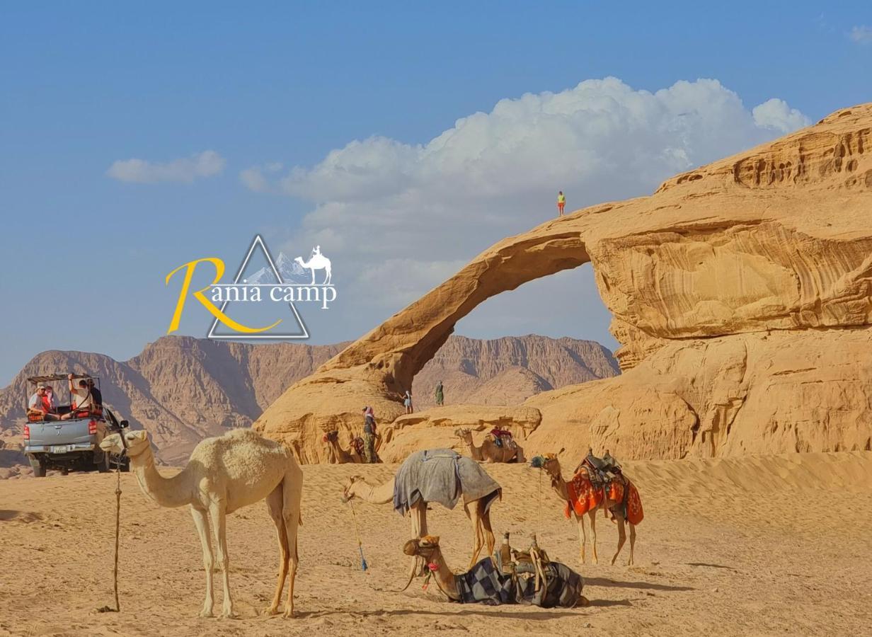 Wadi Rum,Rania Camp Exteriör bild