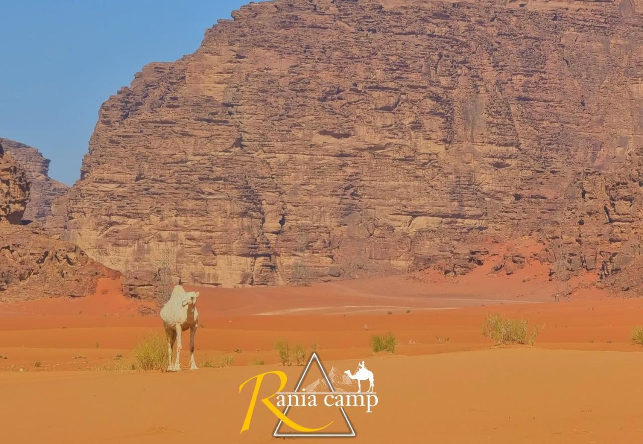 Wadi Rum,Rania Camp Exteriör bild